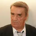 Ion Fiscuteanu Screenshot