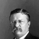 Theodore Roosevelt Screenshot