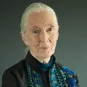 Jane Goodall Screenshot
